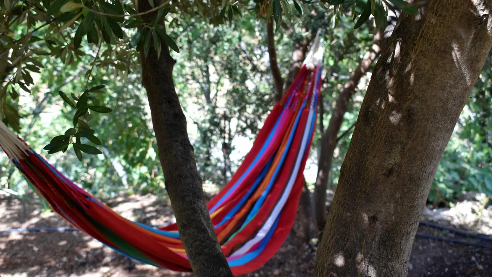 Apartamento El Aljibe Suite Rural Albunol